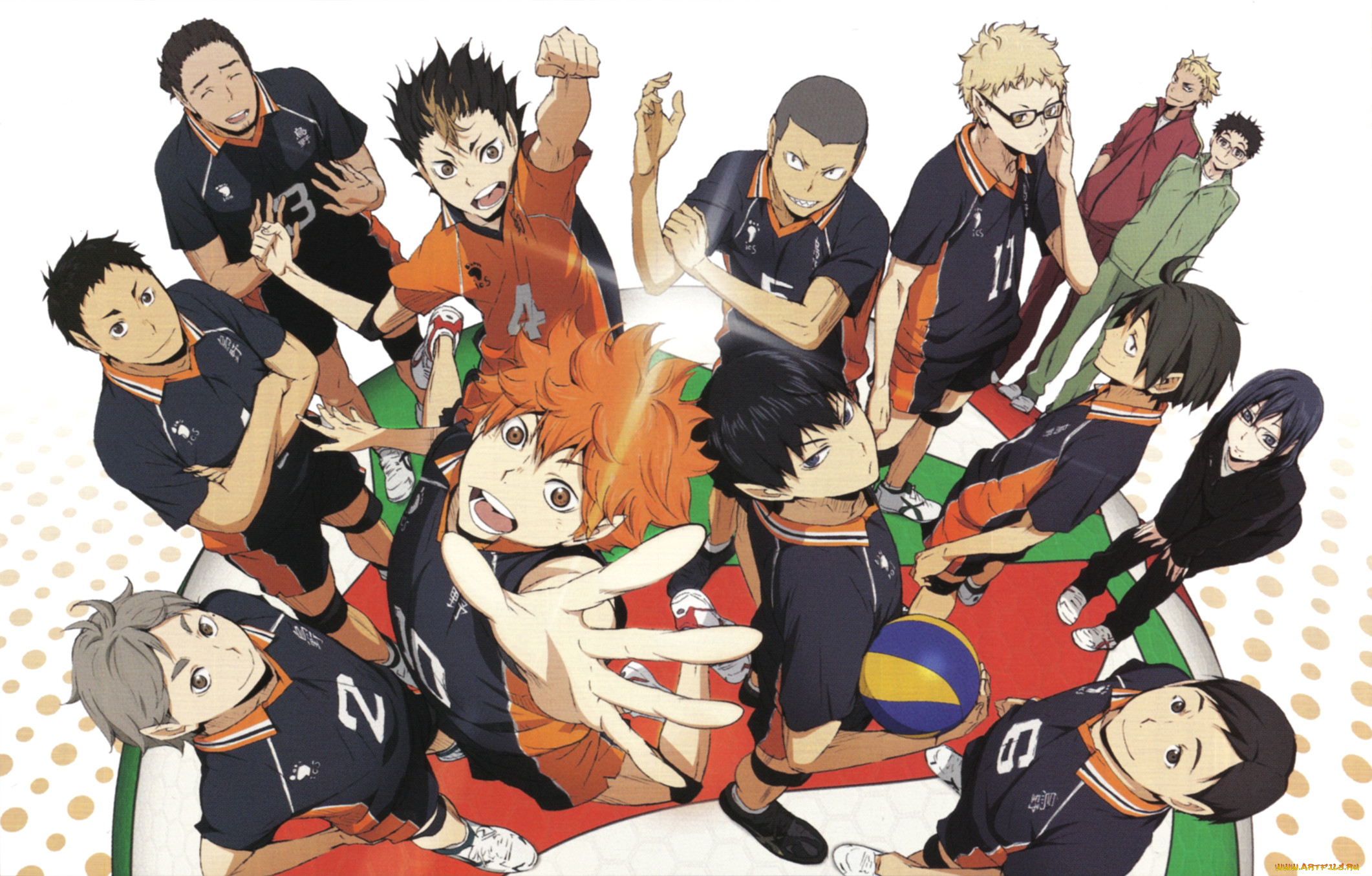 , haikyuu, , 